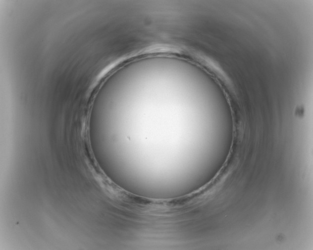 X0000092041220200709120958