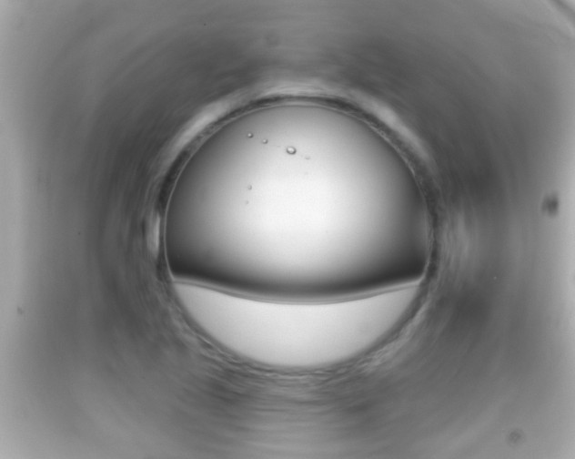 X0000092041221200709120958
