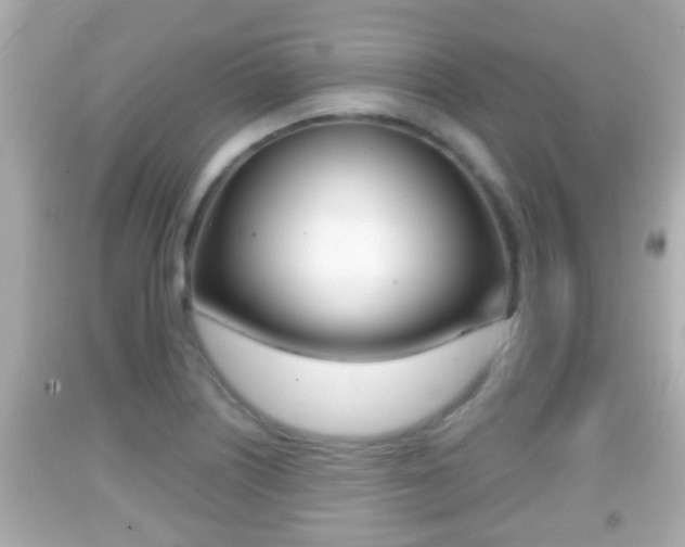 X0000092041226200709120959