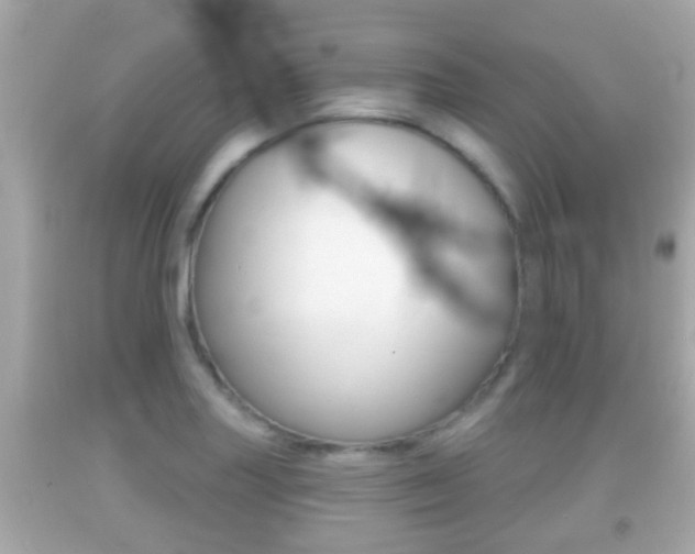 X0000092041227200709120959