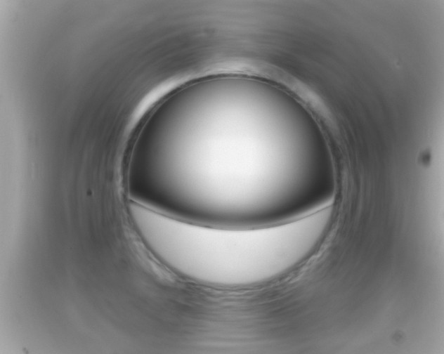 X0000092041230200709120959