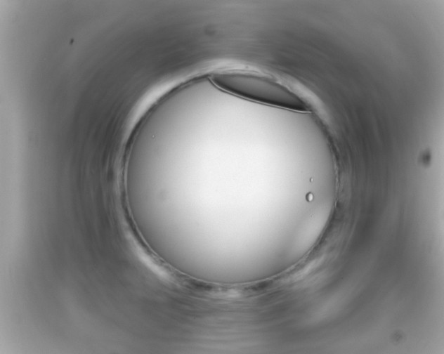 X0000092041231200709120959