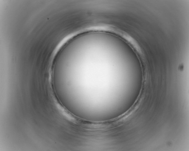 X0000092041232200709120959