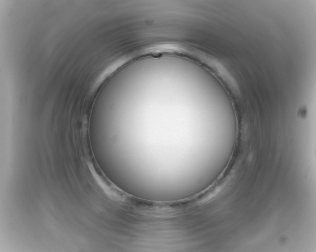 X0000092041233200709120959