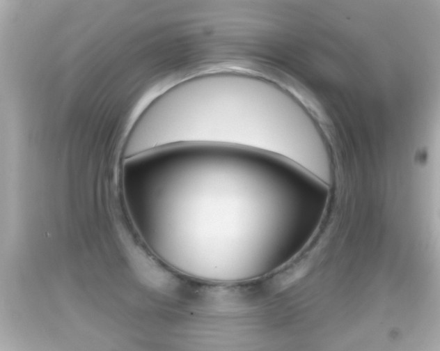 X0000092041234200709120959