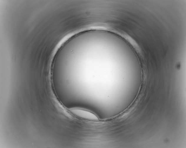 X0000092041240200709120959