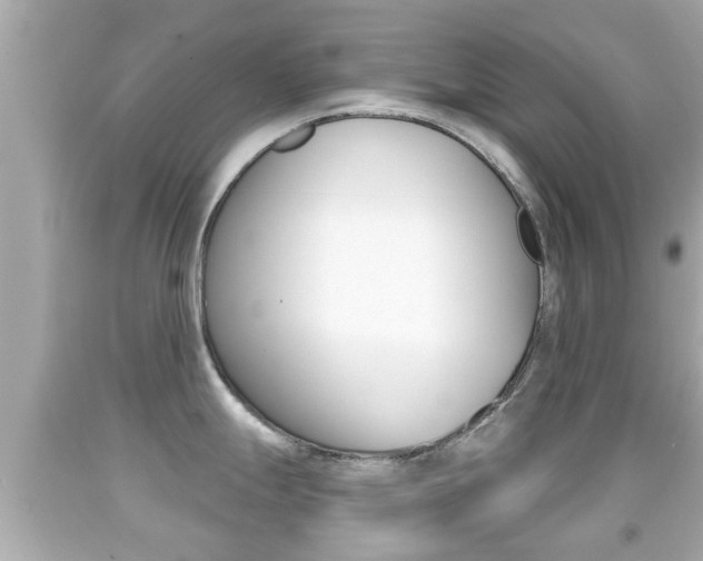 X0000092041247200709120959