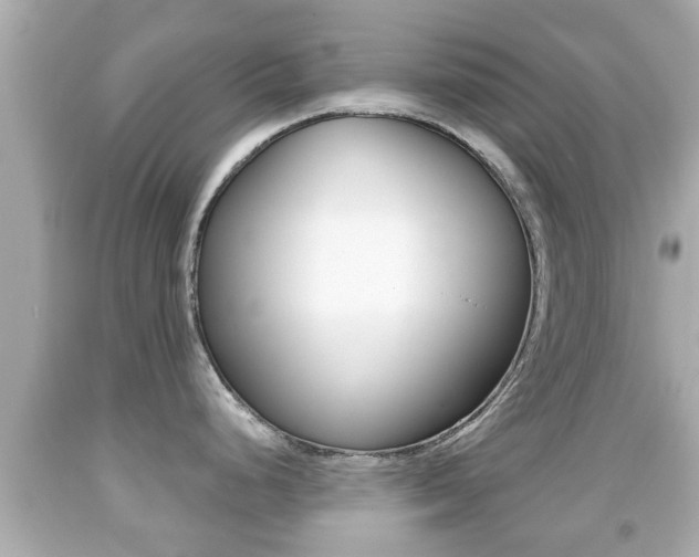 X0000092041248200709120959