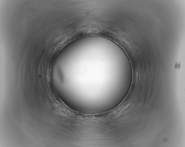 X0000092041250200709120958