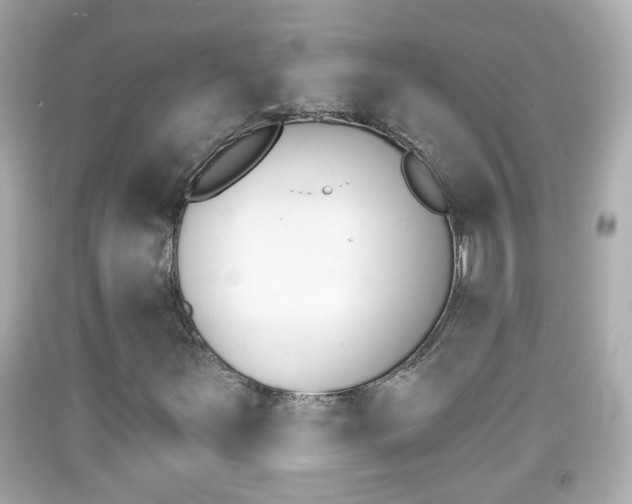X0000092041251200709120958