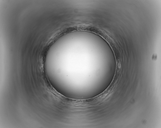 X0000092041252200709120958