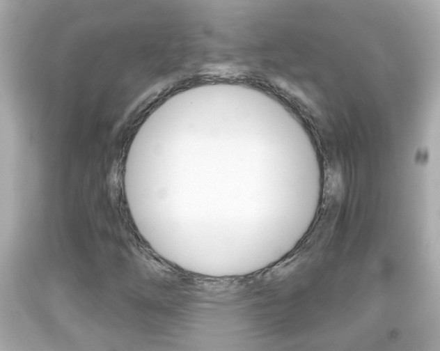 X0000092041254200709120958