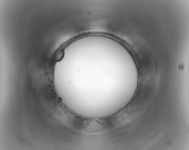 X0000092041255200709120958