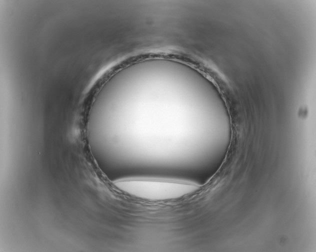 X0000092041256200709120958