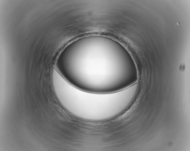 X0000092041257200709120958
