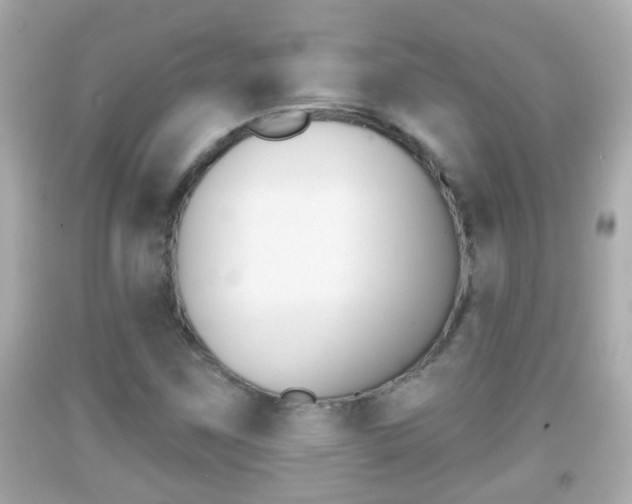 X0000092041259200709120958