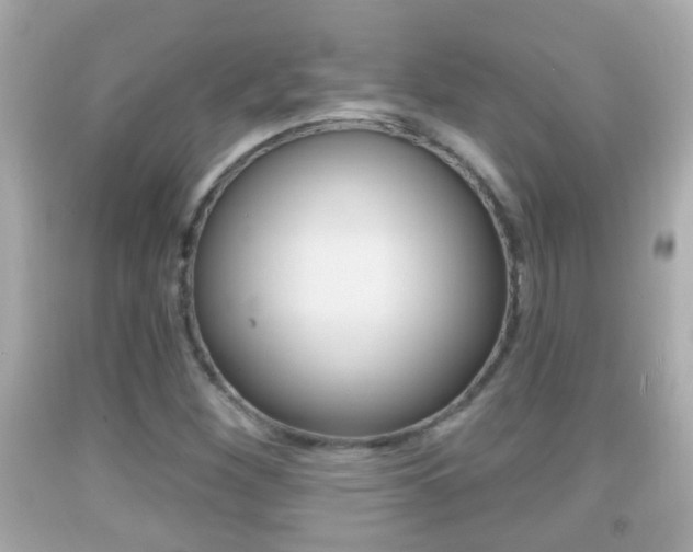 X0000092041260200709120958