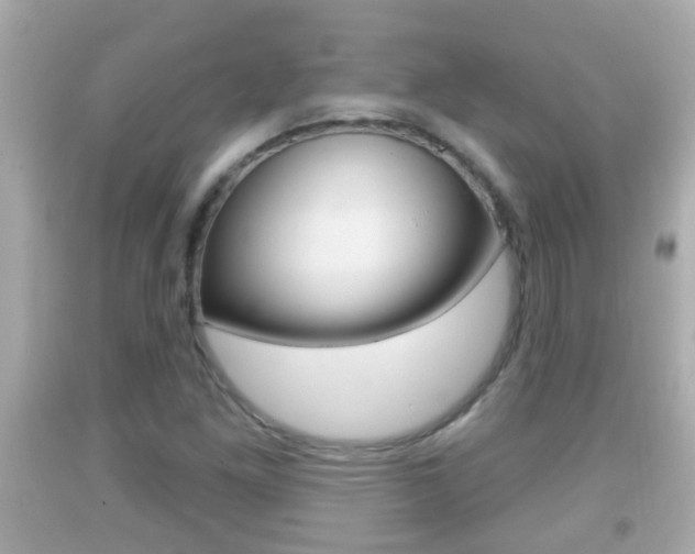 X0000092041261200709120958
