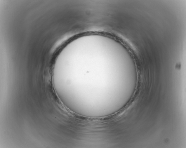 X0000092041262200709120958
