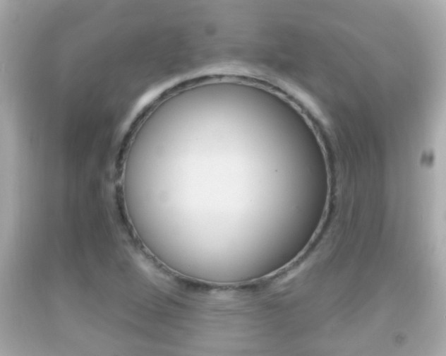 X0000092041264200709120958