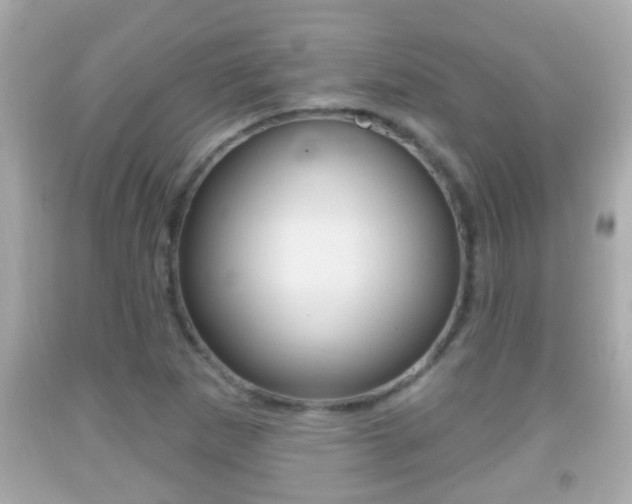 X0000092041265200709120958