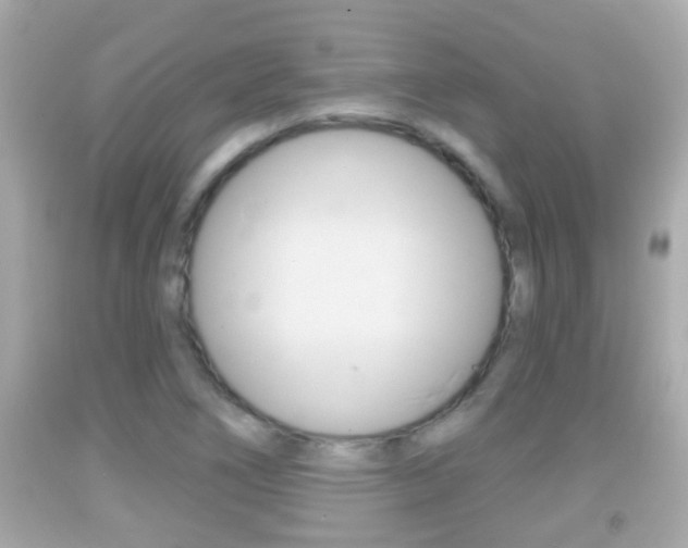 X0000092041266200709120958