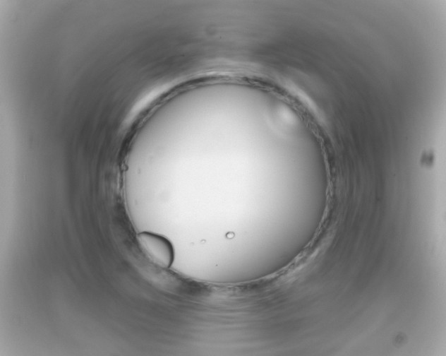 X0000092041267200709120958