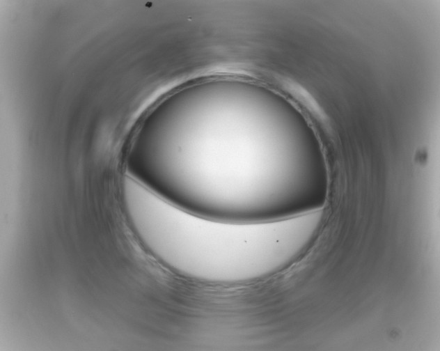 X0000092041268200709120958