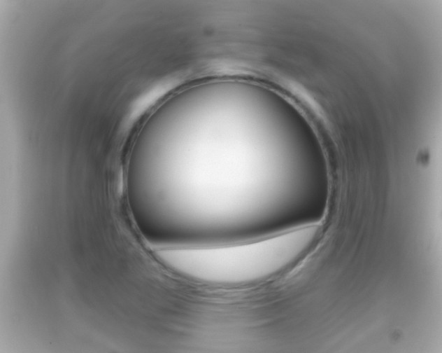X0000092041269200709120958