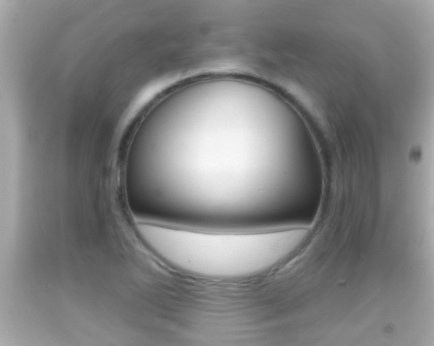 X0000092041270200709120958