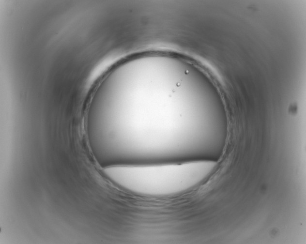 X0000092041271200709120958