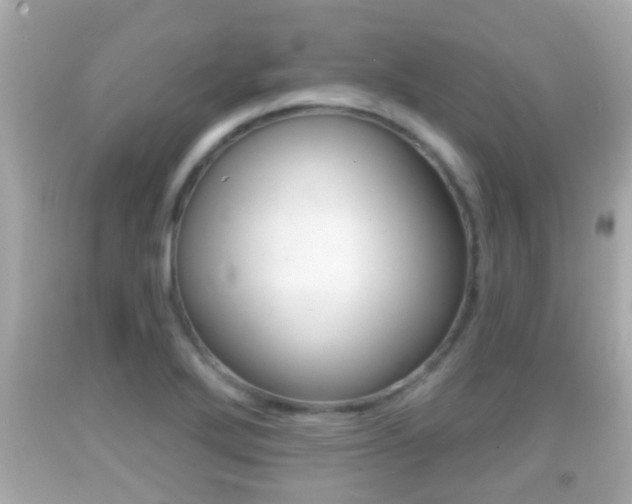 X0000092041272200709120958