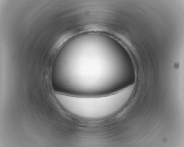 X0000092041273200709120958