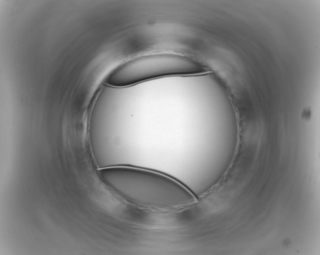 X0000092041275200709120958