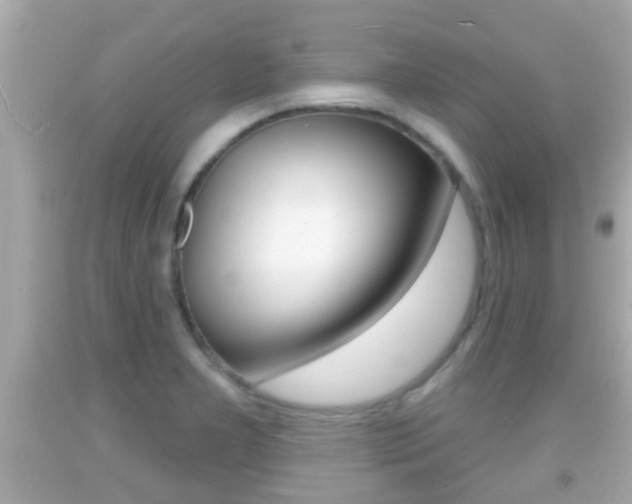 X0000092041277200709120958