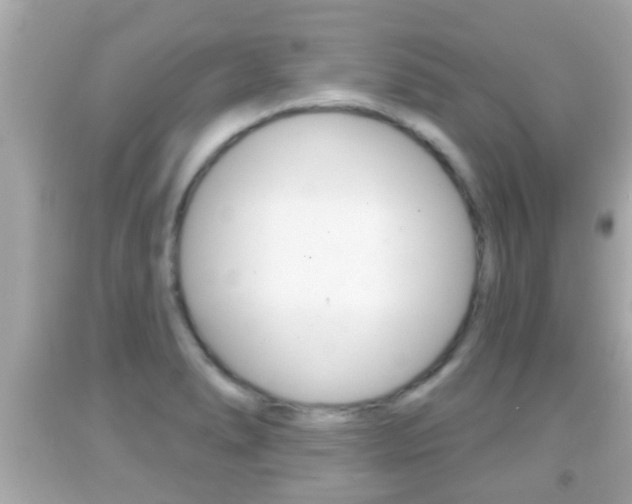 X0000092041278200709120958