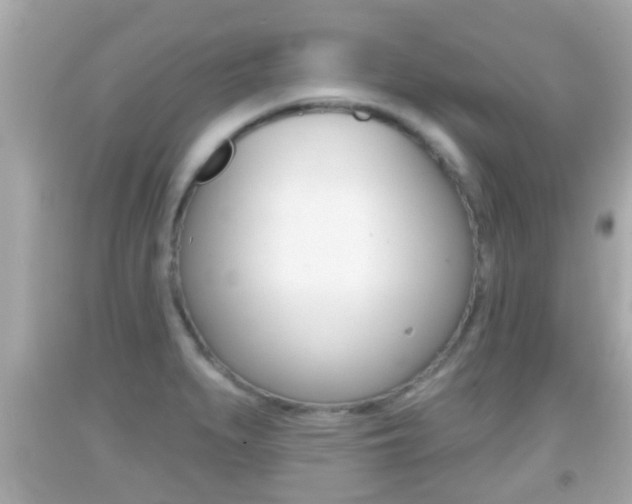 X0000092041279200709120958