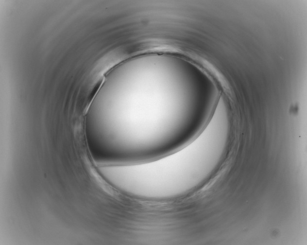 X0000092041281200709120958