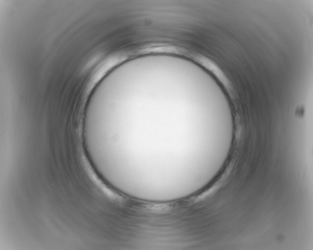 X0000092041282200709120958