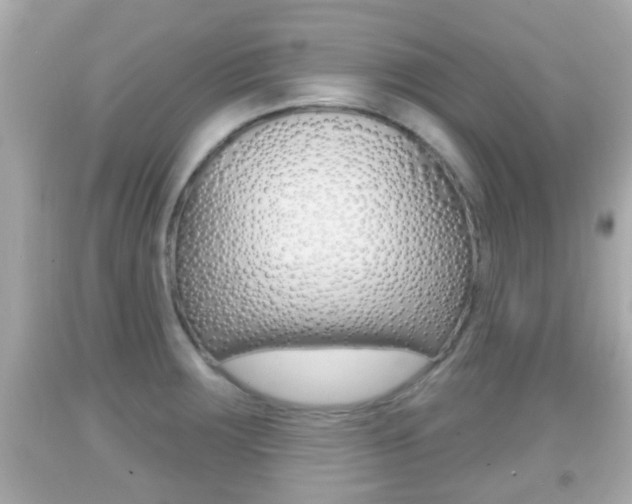 X0000092041283200709120958