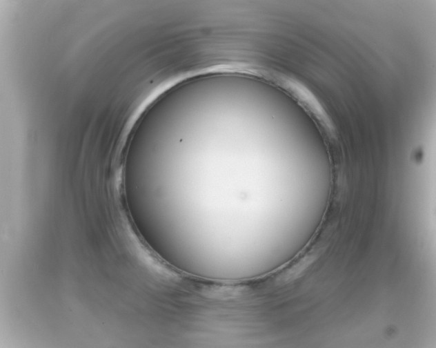 X0000092041284200709120958
