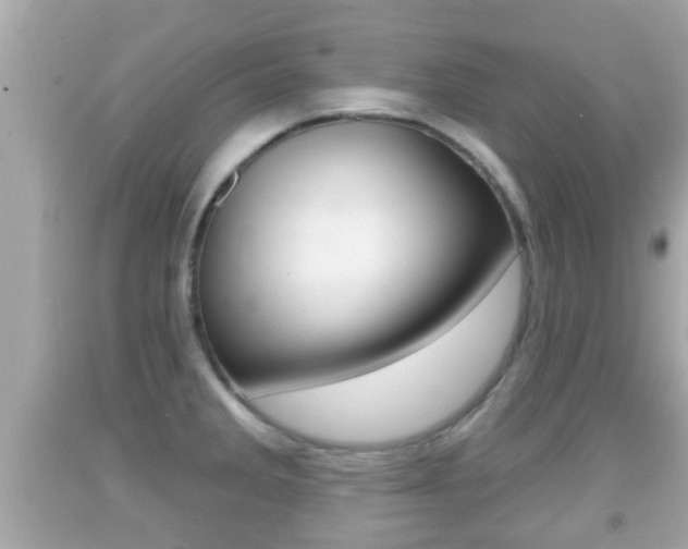 X0000092041285200709120958