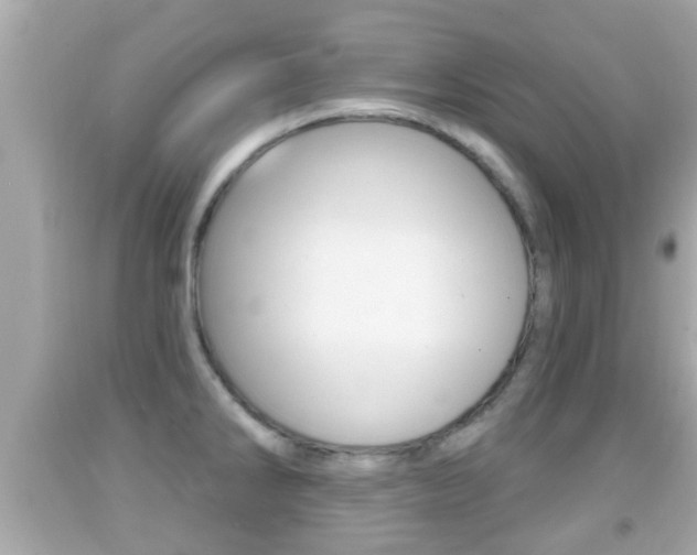 X0000092041286200709120958