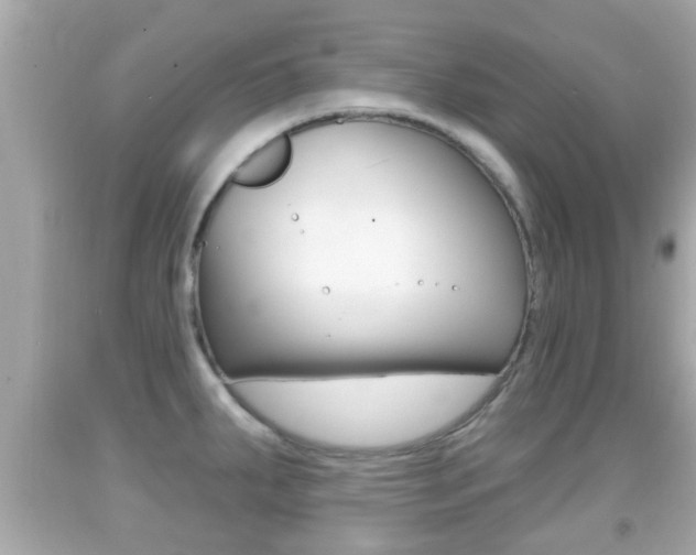 X0000092041287200709120958