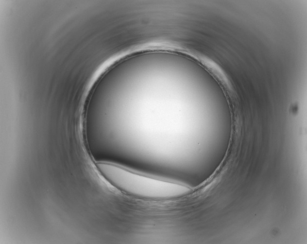 X0000092041288200709120958