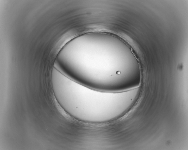 X0000092041289200709120958