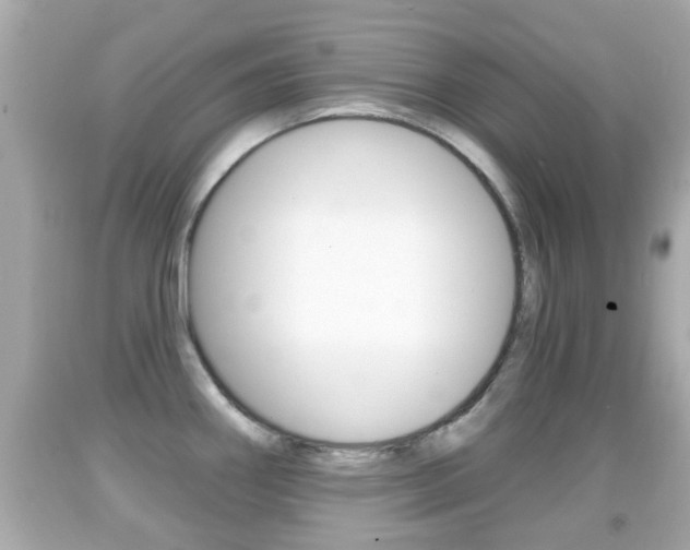 X0000092041290200709120958