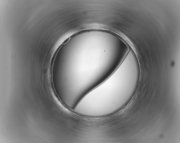 X0000092041293200709120958