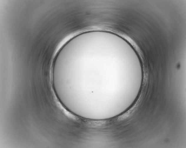 X0000092041294200709120957