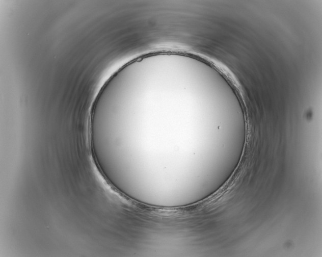 X0000092041295200709120957